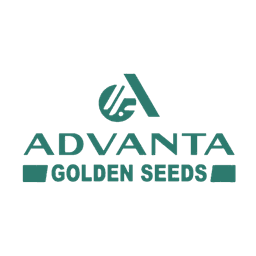 Logo 6